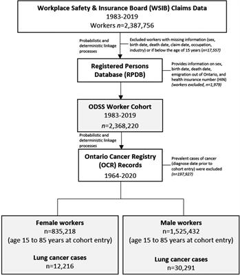 Exploring sex differences in lung cancer risk among workers in Ontario, Canada's Occupational Disease Surveillance System